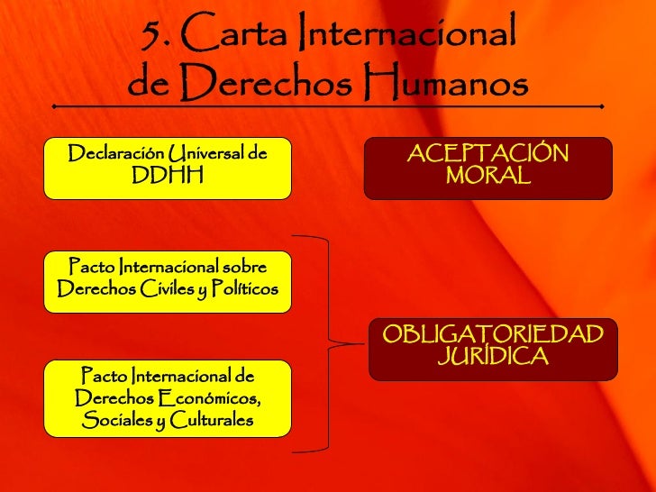 Los 30 Derechos Humanos