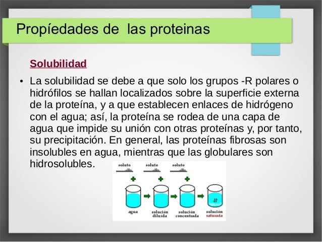 3.2 propiedades de la proteina