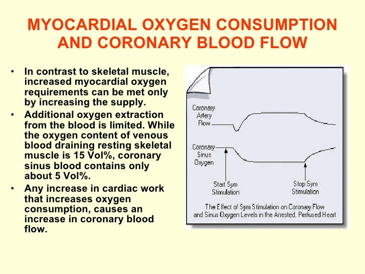 33. cardiovascular 510809
