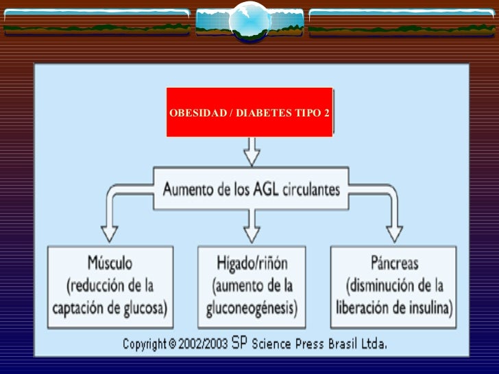 33. fisiopatologia de la diabetes 33. fisiopatologia de la diabetes
