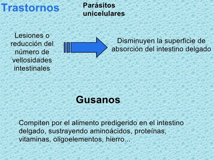 La tasa la alopecia y el tratamiento