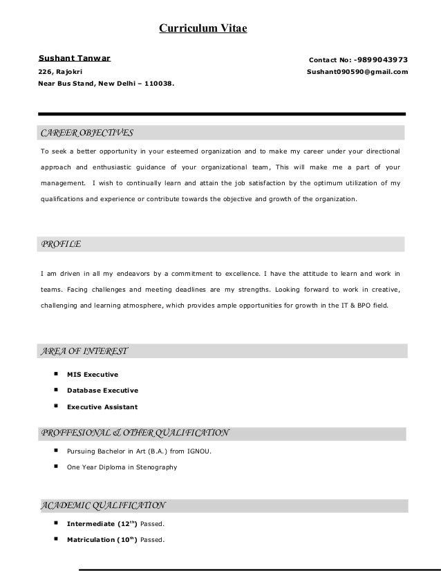 mis resumes