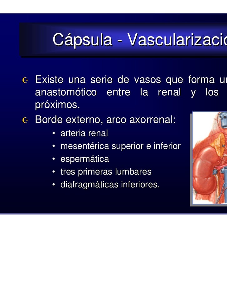 Si duele la espalda que esto puede significar