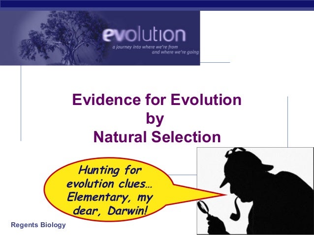 Skin Color Evidence For Natural Selection Skin Color Evidence For Natural Selection