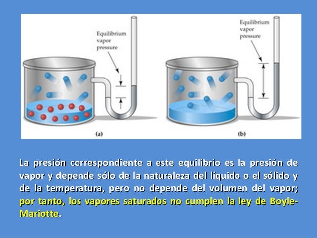 PRESIÓN DE VAPOR