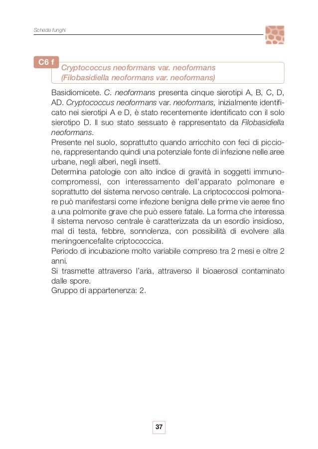 Come imparare cè un fungo su unghie di mani