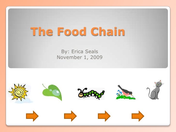 essay on food web essay on food web