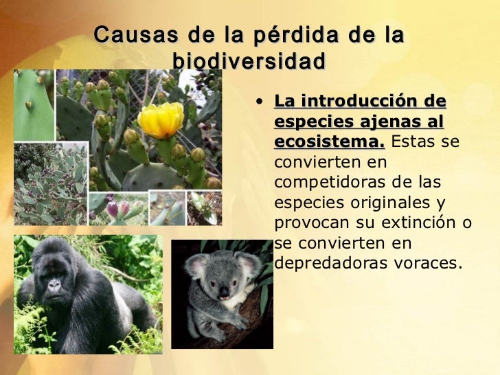 Valoración de la biodiversidad