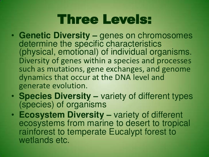 four types of diversity and demographic characteristics Demographic/social/cultural characteristics description social, cultural, religious and other characteristics of a person or group of people which contribute to the. four types of diversity and demographic characteristics Demographic/social/cultural characteristics description social, cultural, religious and other characteristics of a person or group of people which contribute to the.