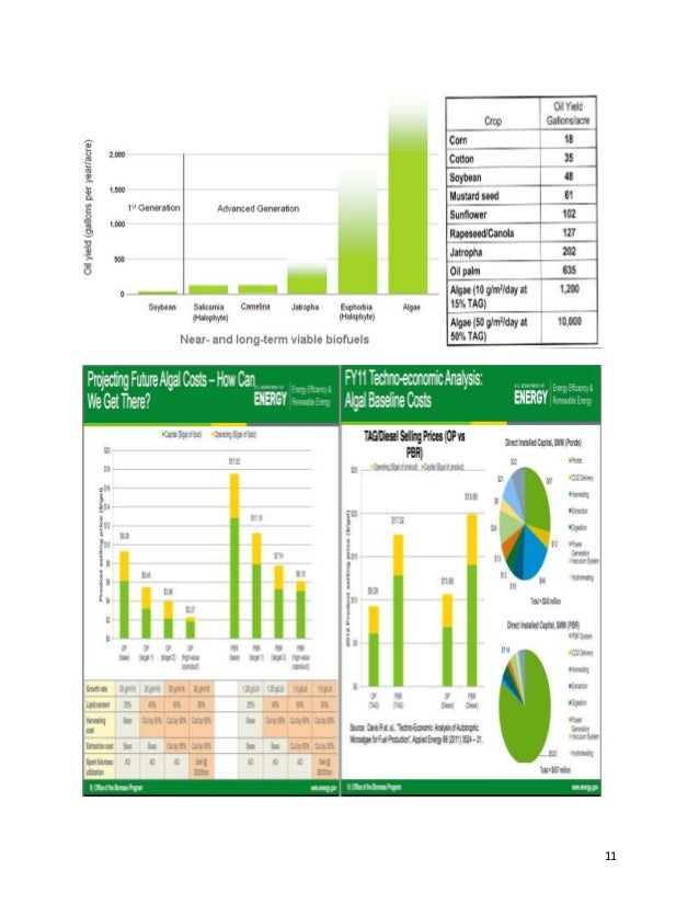 Corn Research Paper corn research paper f tec info Corn Research Paper corn research paper f tec info