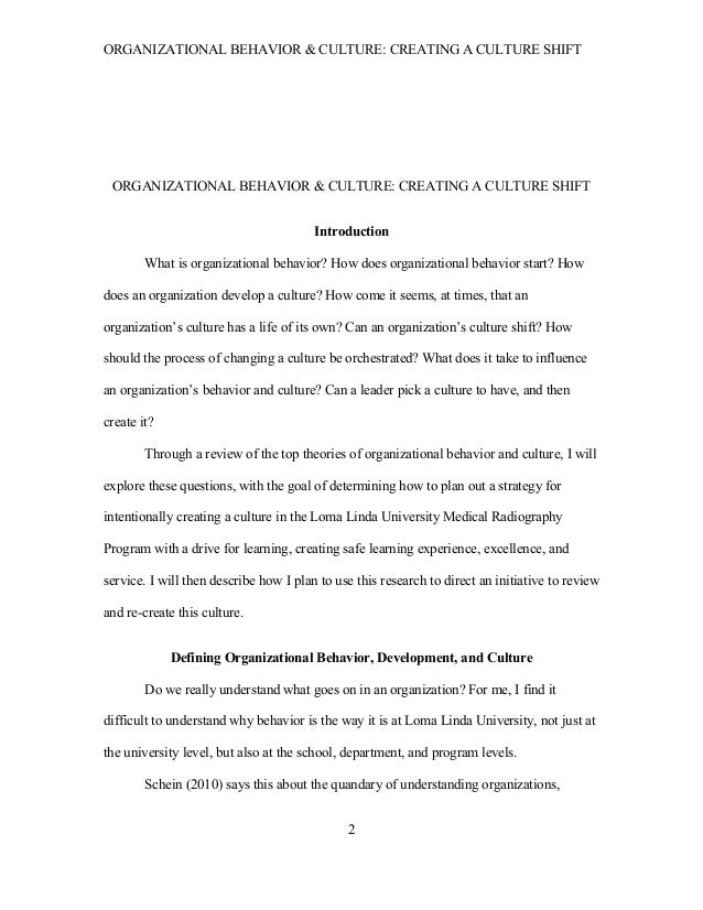 essay about human behavior in organization