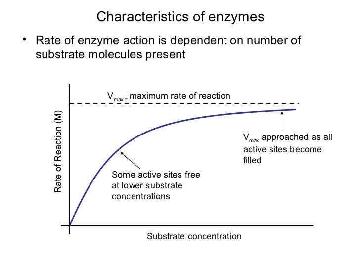 Enzymes