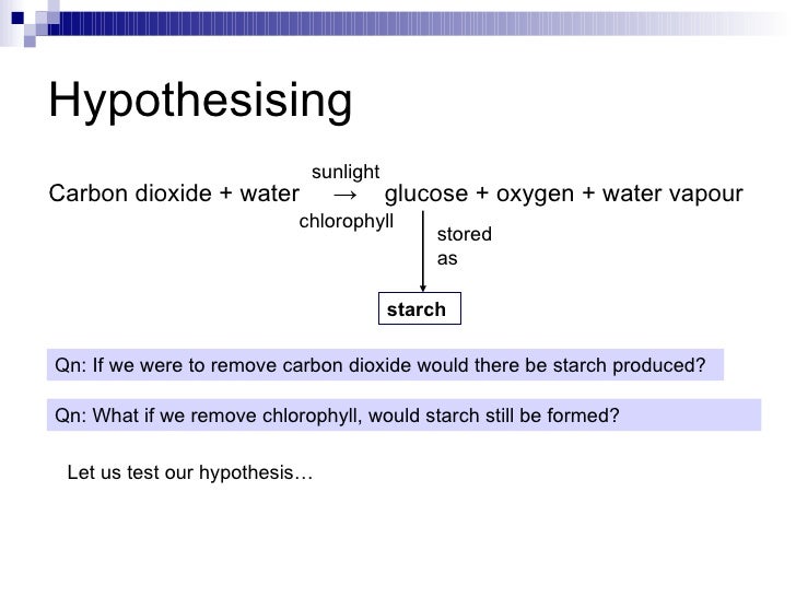 an experiment testing the presence of nutrients in food Teacher activity guide what affects yeast growth taken from ift experiments in food science series temperature, nutrient availability, and the. an experiment testing the presence of nutrients in food Teacher activity guide what affects yeast growth taken from ift experiments in food science series temperature, nutrient availability, and the.