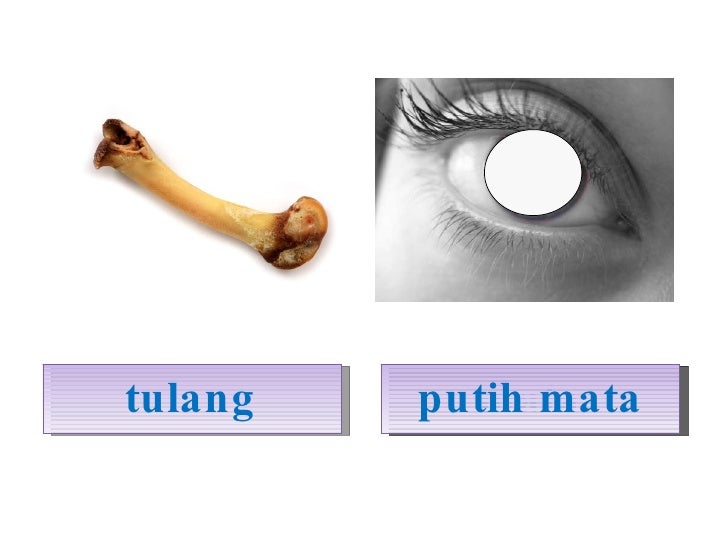 Biar Putih Tulang Jangan Putih Mata Maksud - Biar putih tulang, jangan