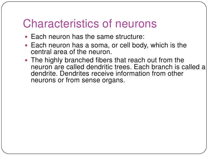3 Neuropsychology Of Human Behaviour