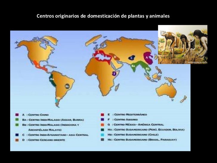 PREHISTORIA