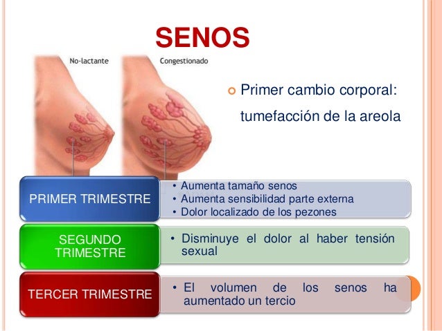 Comprar las hormonas para el aumento de los pechos