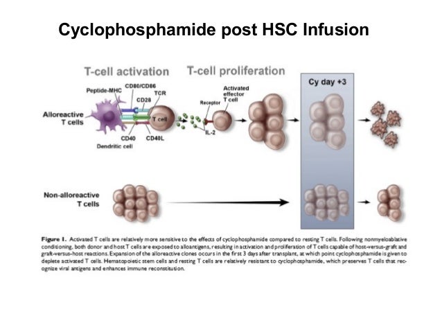 Cytoxan Infusion Rate