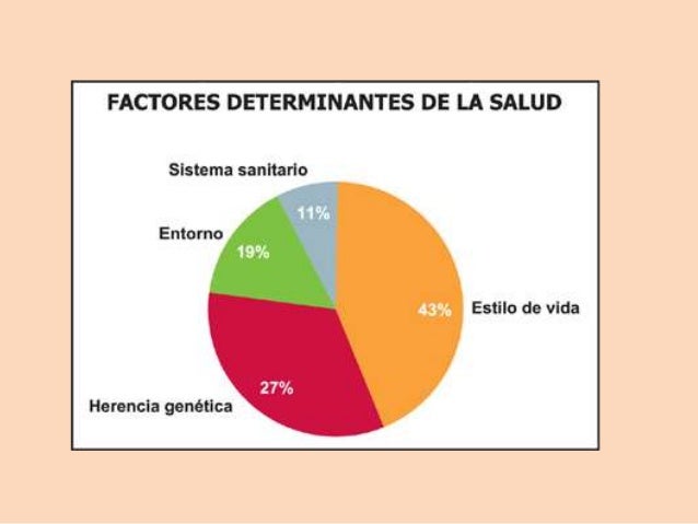 4. Factores condicionantes del proceso salud enfermedad(13-ago-2013)