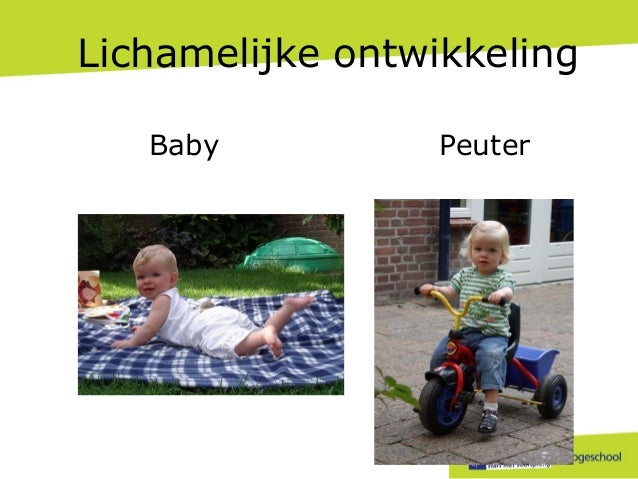 4. de peuter