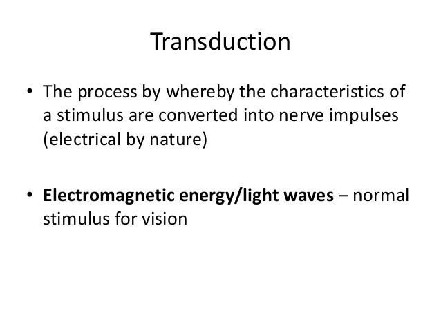 visual kinesthesis visual kinesthesis