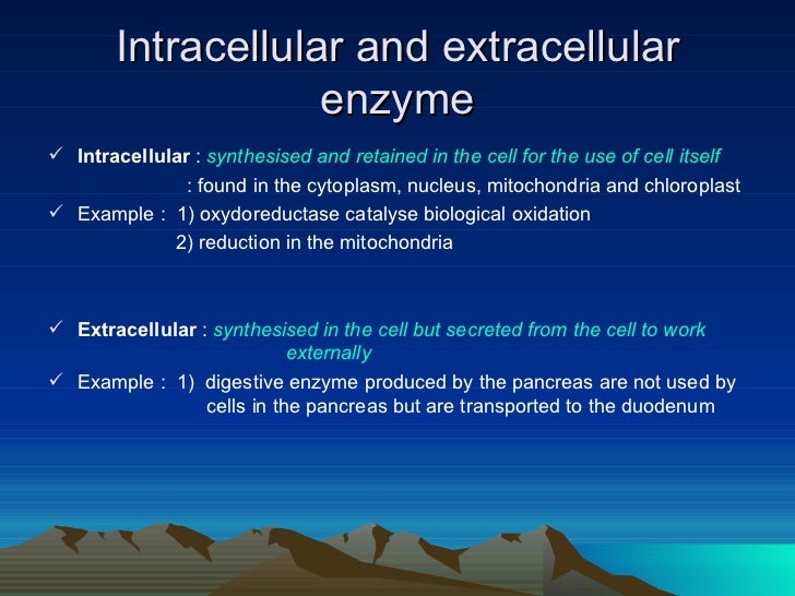 syntesis essay syntesis essay