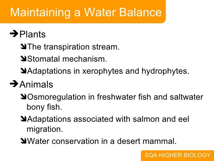ap bio transpiration essay Lab 11 rates of transpiration rates of transpiration were measured on the amount of water lost by the the science of biology sunderland, ma: sinauer. ap bio transpiration essay Lab 11 rates of transpiration rates of transpiration were measured on the amount of water lost by the the science of biology sunderland, ma: sinauer.
