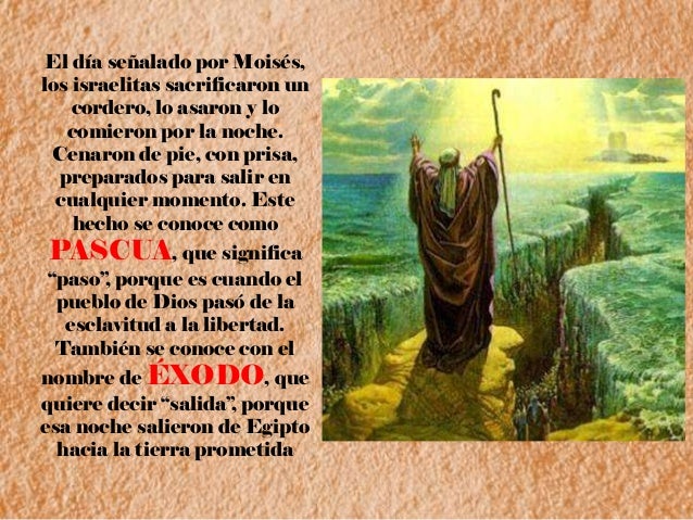 Para Que Eligio Dios A Moises