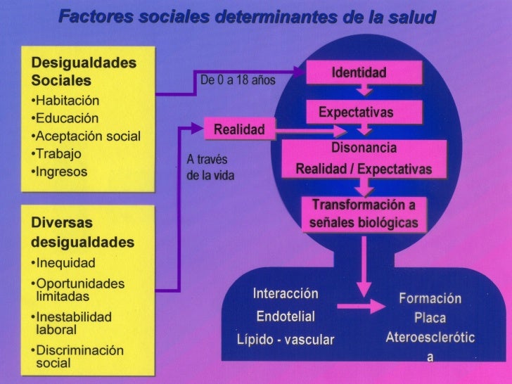 4. factores determinantes de la salud 4. factores determinantes de la salud