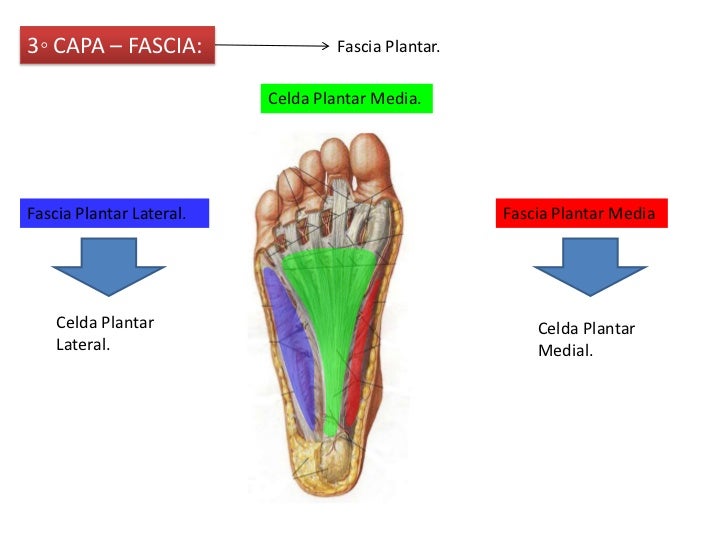 4. garganta de pie y pie