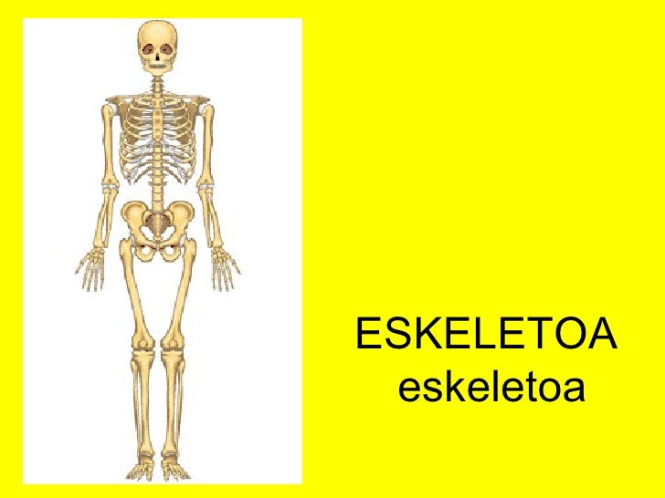 external image 4hzd-5-urte-gorputza-eta-negua-35-728.jpg?cb=1253446080