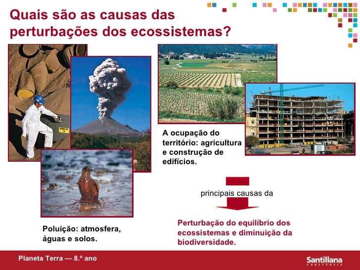 Como A Atuação Humana Interfere No Equilibrio Ecológico Do Cerrado
