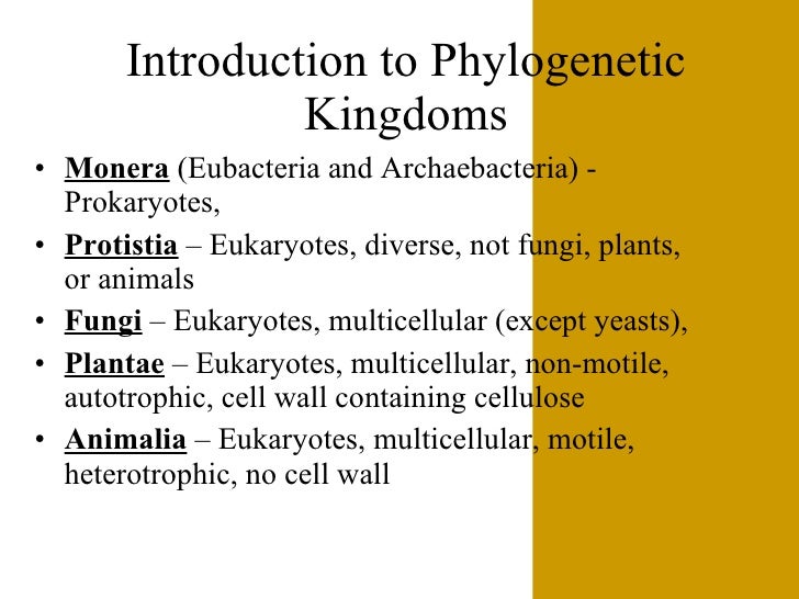 The6 Kingdoms.ClassificationNotes#4