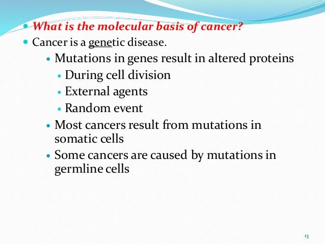 molecular basis of cancer essay Cellular / molecular basis: lung cancer has two types lung cancer essay - lung cancer is the most common cancer-related cause. molecular basis of cancer essay Cellular / molecular basis: lung cancer has two types lung cancer essay - lung cancer is the most common cancer-related cause.