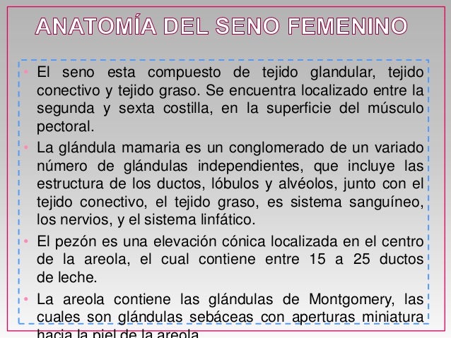 El miembro grande aumentar gratis