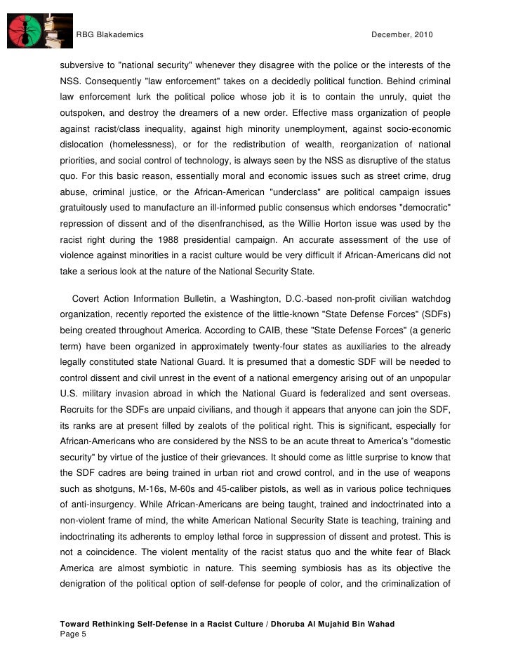 Essay on human evolution