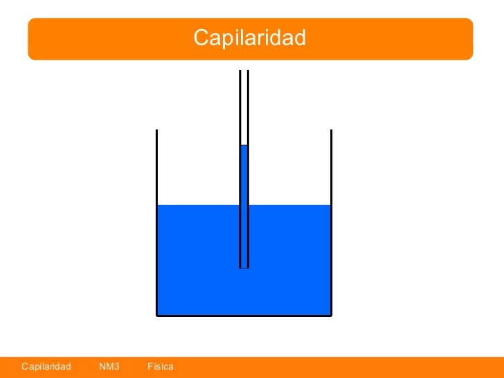 capilaridad