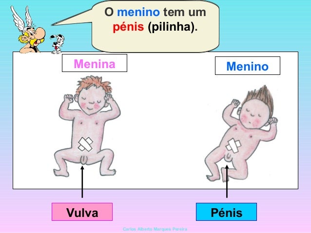 Se realmente aumentar o membro sem operações