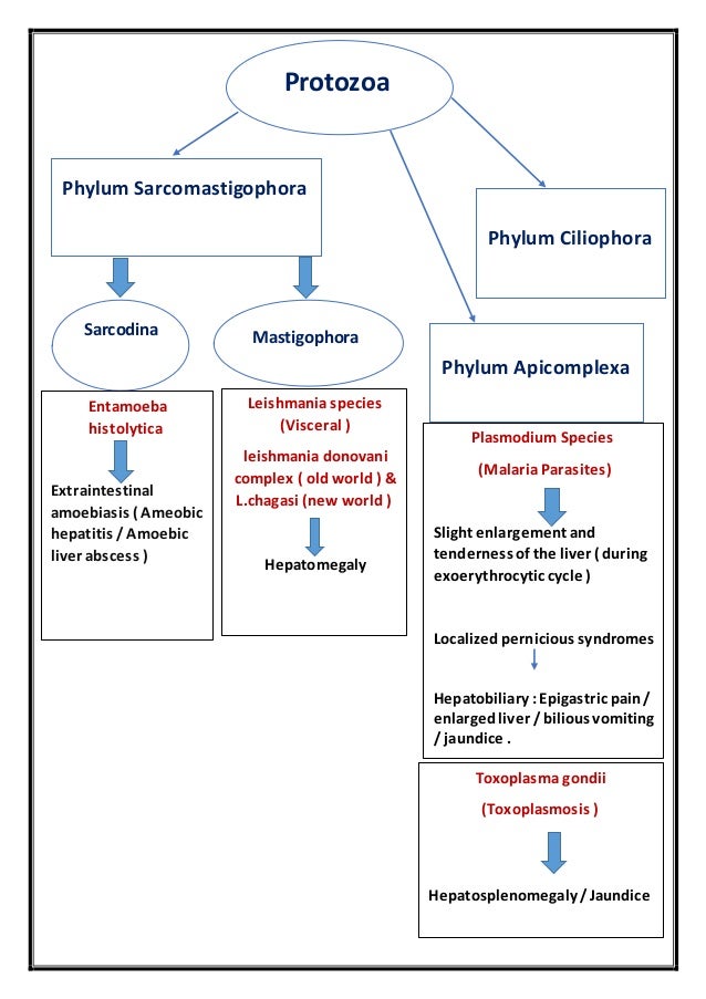 portal hypertension