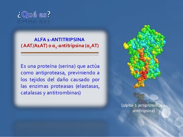 Proxima - Alpha Proxima - Alpha