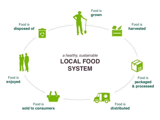 Food Management Systems Market Connections Resume Food Management Systems Market Connections Resume
