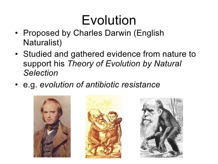 Natural Selection Allows Organisms To Become Better Natural Selection Allows Organisms To Become Better