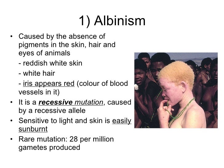 Are Mutations Caused By Natural Selection Are Mutations Caused By Natural Selection