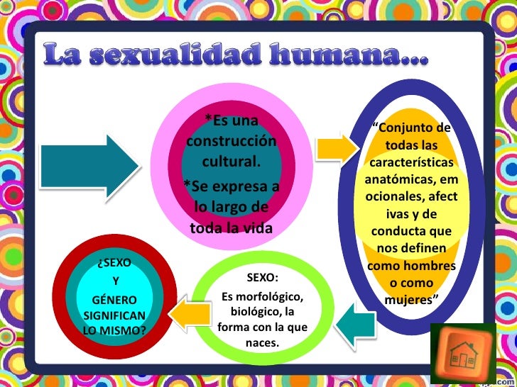 4 potencialidades