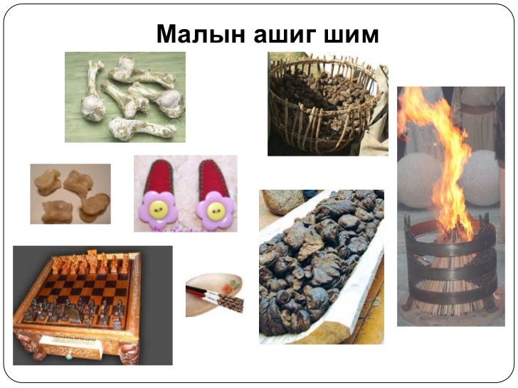 5 хошуу мал