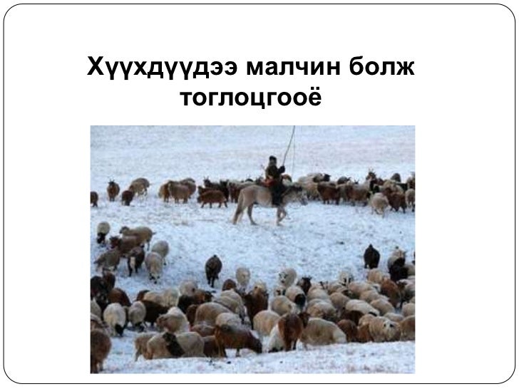 5 хошуу мал