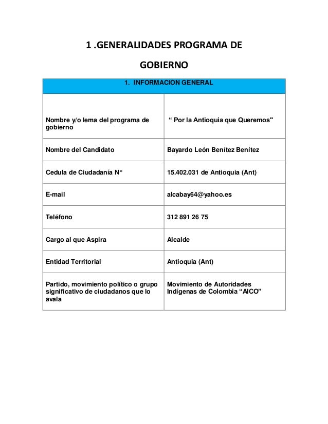 Programa de gobierno