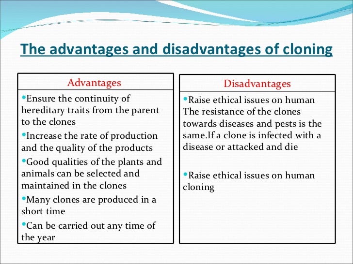 Good High School Essay Examples Human Cloning Persuasive Essay Youtube Example Thesis Statement Essay also My English Essay Write My Essay Human Cloning Examples Of Thesis Essays