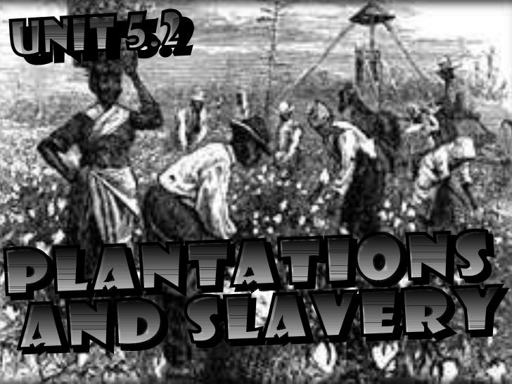 Southern Plantations & Slavery