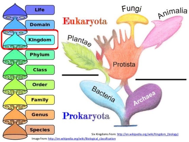 what are biological needs mainly based on what are biological needs mainly based on